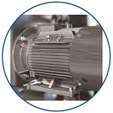 質(zhì)優(yōu)電機